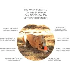 SodaPup Can Treat Dispenser Dog Toy -PetSafe Kong Shop 346944 PT2. AC SS1800 V1638338509