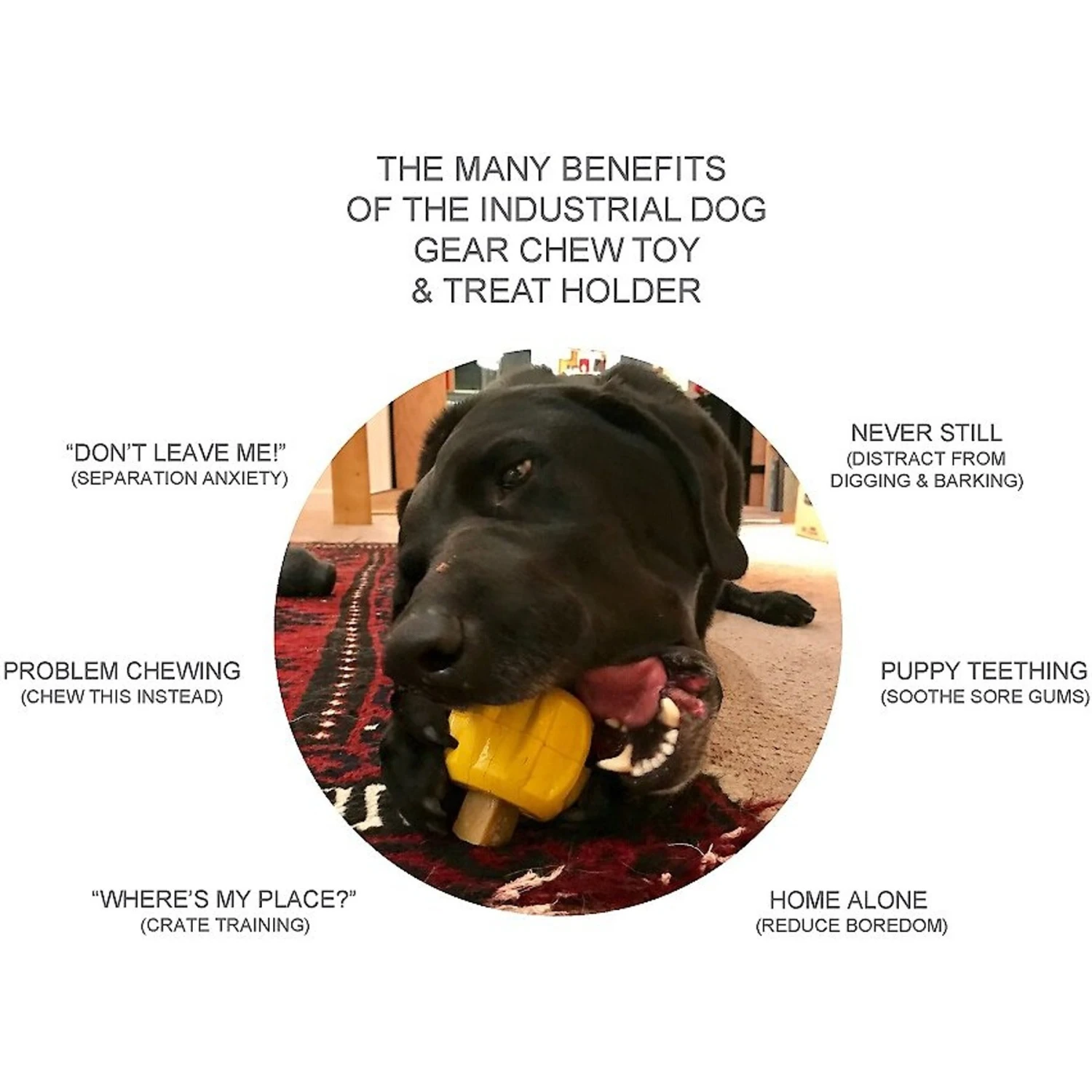 SodaPup Gear Treat Pocket Rubber Chew & Enrichment Dog Toy 3 SodaPup Gear Treat Pocket Rubber Chew & Enrichment Dog Toy - Image 3