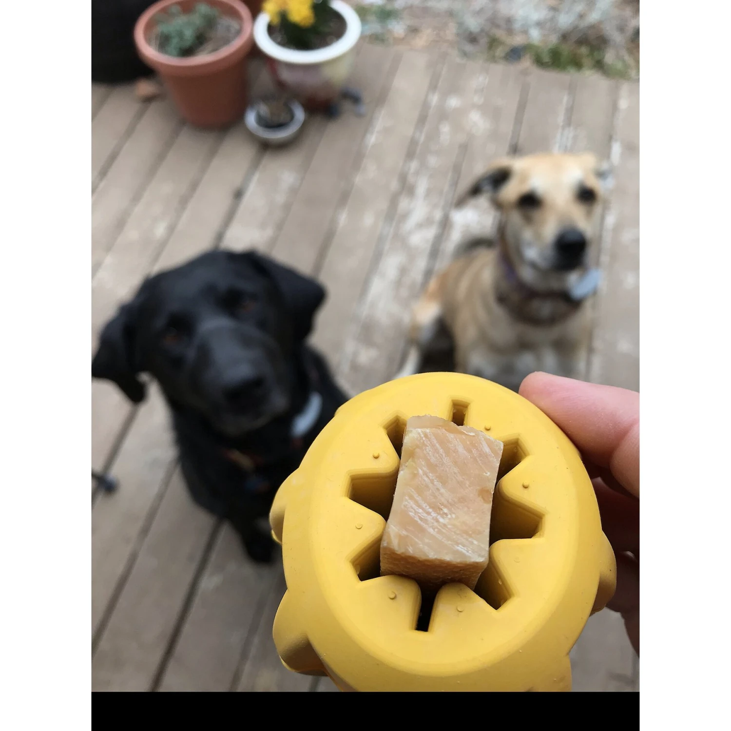 SodaPup Gear Treat Pocket Rubber Chew & Enrichment Dog Toy 7 SodaPup Gear Treat Pocket Rubber Chew & Enrichment Dog Toy - Image 7