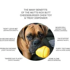 SodaPup Hamburger Rubber Treat Dispenser Dog Toy -PetSafe Kong Shop 347012 PT2. AC SS1800 V1638306102