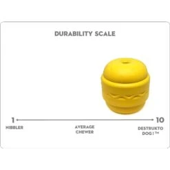 SodaPup Hamburger Rubber Treat Dispenser Dog Toy -PetSafe Kong Shop 347012 PT4. AC SS1800 V1638306695