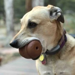 SodaPup Hamburger Rubber Treat Dispenser Dog Toy -PetSafe Kong Shop 347012 PT5. AC SS1800 V1638315699