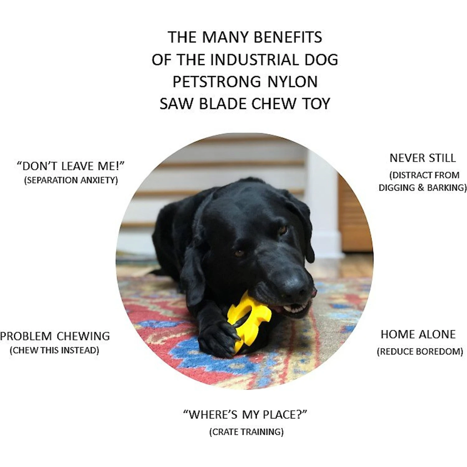 SodaPup Nylon Circular Saw Chew Dog Toy 5 SodaPup Nylon Circular Saw Chew Dog Toy - Image 5