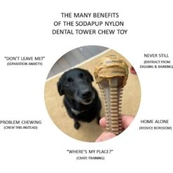SodaPup Nylon Honey Bone Dental Tower Chew Dog Toy 11 SodaPup Nylon Honey Bone Dental Tower Chew Dog Toy -PetSafe Kong Shop 347058 PT3. AC SS1800 V1638403909