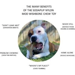 SodaPup Nylon Mod Wishbone Chew & Enrichment Dog Toy -PetSafe Kong Shop 347068 PT2. AC SS1800 V1638339745