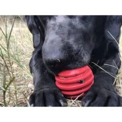 SodaPup Stars & Stripes Ultra-Durable Rubber Ball Dog Toy 10 SodaPup Stars & Stripes Ultra-Durable Rubber Ball Dog Toy -PetSafe Kong Shop 347120 PT1. AC SS1800 V1638339163