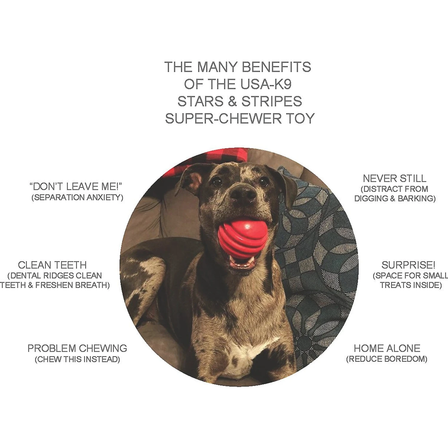 SodaPup Stars & Stripes Ultra-Durable Rubber Ball Dog Toy 3 SodaPup Stars & Stripes Ultra-Durable Rubber Ball Dog Toy - Image 3