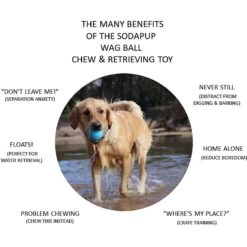 SodaPup TPE Wag Ball Chew & Retrieving Toy -PetSafe Kong Shop 347131 PT3. AC SS1800 V1638338800