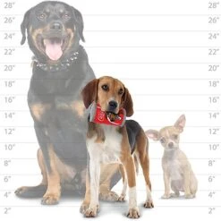 Tuffy's Canine Cola Durable Squeaky Dog Toy -PetSafe Kong Shop 347152 PT6. AC SS1800 V1638295884