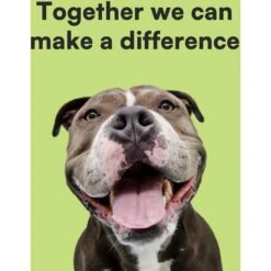 MyEcoPet Compostable Dispenser & Dog Waste Bags, 30 Count 12 MyEcoPet Compostable Dispenser & Dog Waste Bags, 30 Count -PetSafe Kong Shop 347184 PT4. AC SS1800 V1670620841