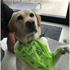 MyEcoPet Compostable Dispenser & Dog Waste Bags, 30 Count 14 MyEcoPet Compostable Dispenser & Dog Waste Bags, 30 Count -PetSafe Kong Shop 347184 PT6. AC SS1800 V1670615267