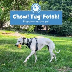 Sweet Paws Chunky Wearable Puppy Teether Dog Toy -PetSafe Kong Shop 347880 PT3. AC SS1800 V1660772455