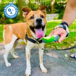 Sweet Paws Chunky Wearable Puppy Teether Dog Toy -PetSafe Kong Shop 347880 PT7. AC SS1800 V1660771975