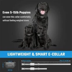 PATPET P680 Lightweight Remote Training Dog Bark Collar, Black 11 PATPET P680 Lightweight Remote Training Dog Bark Collar, Black -PetSafe Kong Shop 347896 PT3. AC SS1800 V1638045704