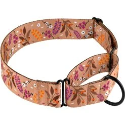 CollarDirect Floral Design Pattern Nylon Martingale Dog Collar -PetSafe Kong Shop 347992 PT1. AC SS1800 V1639783912