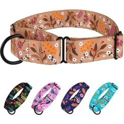 CollarDirect Floral Design Pattern Nylon Martingale Dog Collar -PetSafe Kong Shop 347992 PT2. AC SS1800 V1639792910