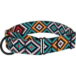 CollarDirect Tribal Pattern Ethnic Design Nylon Martingale Dog Collar