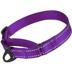 CollarDirect Reflective Martingale Nylon Dog Collar