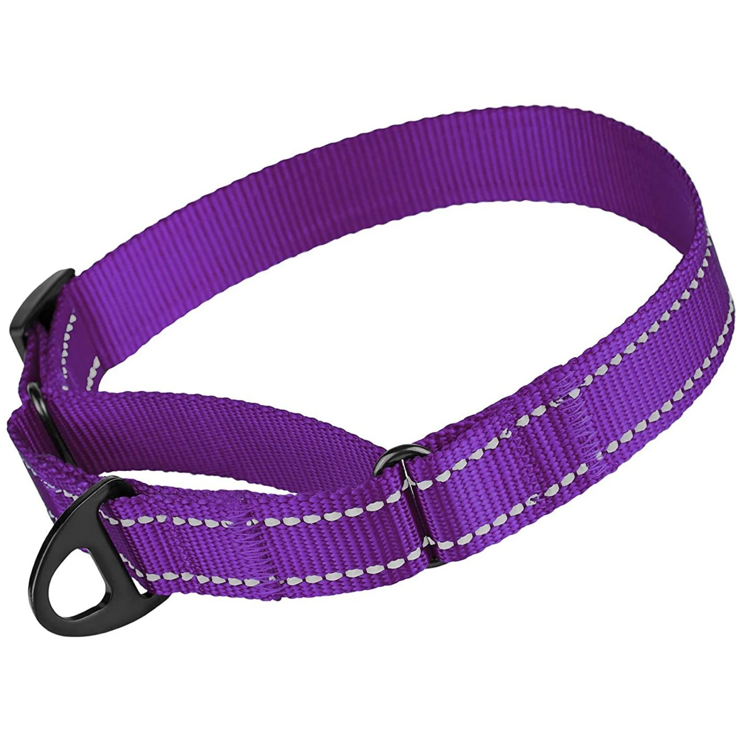 CollarDirect Reflective Martingale Nylon Dog Collar 1 CollarDirect Reflective Martingale Nylon Dog Collar