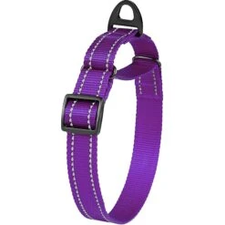 CollarDirect Reflective Martingale Nylon Dog Collar 8 CollarDirect Reflective Martingale Nylon Dog Collar -PetSafe Kong Shop 348143 PT2. AC SS1800 V1639784192