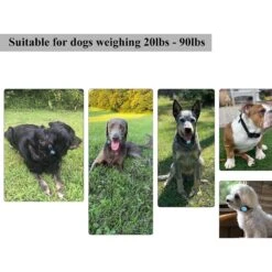 PATPET P320 300M Remote Dog Training Collar -PetSafe Kong Shop 348166 PT5. AC SS1800 V1638837095