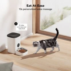 Petlibro WIFI Automatic Dog & Cat Feeder, 4-L 12 Petlibro WIFI Automatic Dog & Cat Feeder, 4-L -PetSafe Kong Shop 352548 PT3. AC SS1800 V1691091020