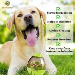 SunGrow Boredom & Separation Anxiety Relief Stimulation Treat Dispensing Cat & Dog Toy 8 SunGrow Boredom & Separation Anxiety Relief Stimulation Treat Dispensing Cat & Dog Toy -PetSafe Kong Shop 352929 PT2. AC SS1800 V1639435002