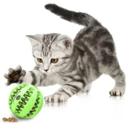 SunGrow Interactive Chew Ball Treat Dispenser Dog & Cat Teething Toy -PetSafe Kong Shop 352931 PT2. AC SS1800 V1639436836