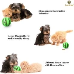 SunGrow Interactive Chew Ball Treat Dispenser Dog & Cat Teething Toy -PetSafe Kong Shop 352931 PT3. AC SS1800 V1639435343