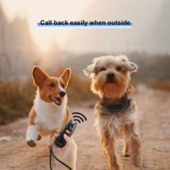 PATPET P682 Lightweight 1000-ft Remote Dog Training Collar, Black, Small -PetSafe Kong Shop 352956 PT2. AC SS1800 V1639437088