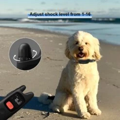 PATPET P682 Lightweight 1000-ft Remote Dog Training Collar, Black, Small -PetSafe Kong Shop 352956 PT3. AC SS1800 V1639435310