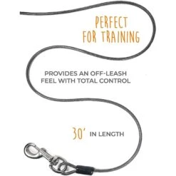 Mighty Paw Tie Out Cable Dog Leash, 30-ft -PetSafe Kong Shop 353032 PT2. AC SS1800 V1638811001