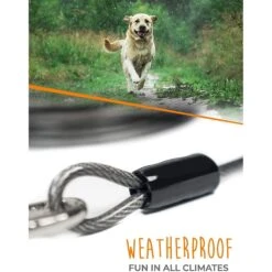 Mighty Paw Tie Out Cable Dog Leash, 30-ft -PetSafe Kong Shop 353032 PT4. AC SS1800 V1638811917