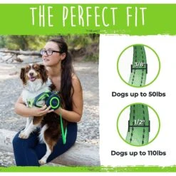 Mighty Paw Retractable 2.0 Dog Leash -PetSafe Kong Shop 353037 PT5. AC SS1800 V1638825391