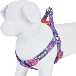 Blueberry Pet Step-in Spring Scent Inspired Rose Print Dog Harness -PetSafe Kong Shop 354185 PT2. AC SS1800 V1639508798