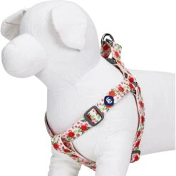 Blueberry Pet Essentials Spring Scent Inspired Garden Floral Step-in Dog Harness -PetSafe Kong Shop 354215 PT2. AC SS1800 V1639508800