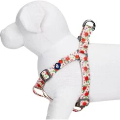 Blueberry Pet Essentials Spring Scent Inspired Garden Floral Step-in Dog Harness -PetSafe Kong Shop 354215 PT3. AC SS1800 V1639504295