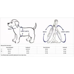 Blueberry Pet Essentials Spring Scent Inspired Garden Floral Step-in Dog Harness -PetSafe Kong Shop 354215 PT5. AC SS1800 V1639508481