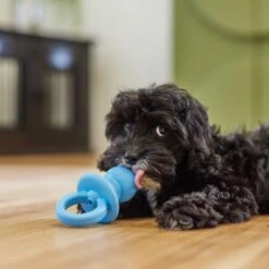 KONG Puppy Binkie 5 KONG Puppy Binkie -PetSafe Kong Shop 354327 PT3. AC SS1800 V1682711080