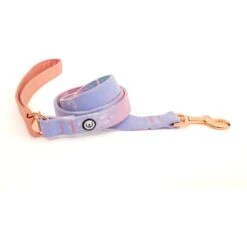 Eat Play Wag Cotton Candy Standard Leash