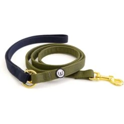 Eat Play Wag Standard Dog Leash