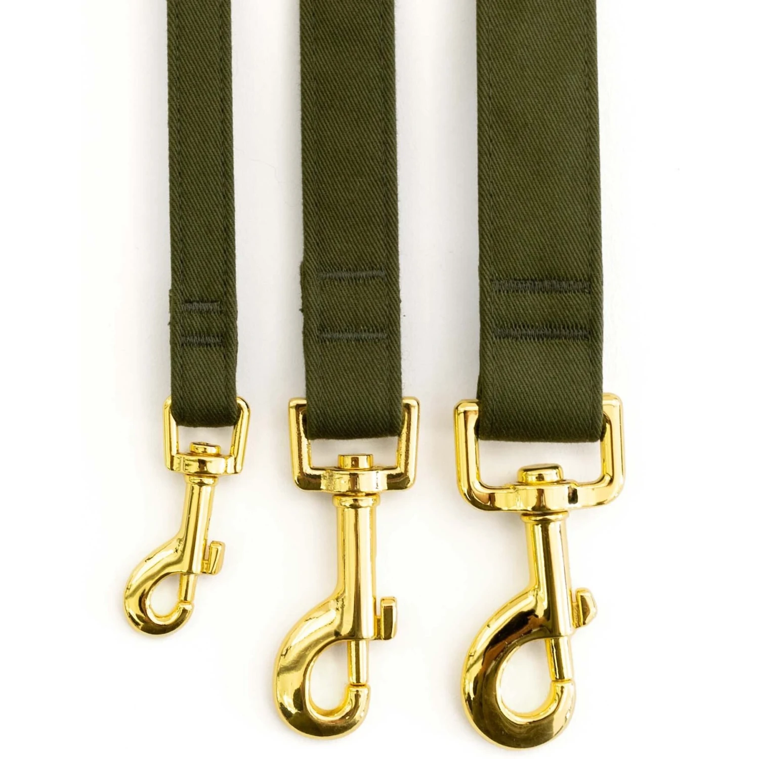 Eat Play Wag Standard Dog Leash 2 Eat Play Wag Standard Dog Leash - Image 2