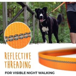 Mighty Paw Polyester Reflective Colorblast Dog Leash, 6-ft Long -PetSafe Kong Shop 357895 PT3. AC SS1800 V1640887292
