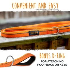 Mighty Paw Polyester Reflective Colorblast Dog Leash, 6-ft Long -PetSafe Kong Shop 357895 PT6. AC SS1800 V1640886994