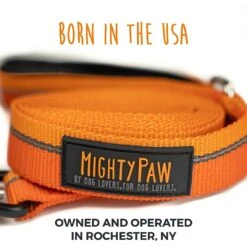 Mighty Paw Polyester Reflective Colorblast Dog Leash, 6-ft Long -PetSafe Kong Shop 357895 PT8. AC SS1800 V1640893319