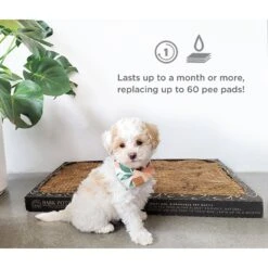 Bark Potty Natural Disposable Dog Potty Pad -PetSafe Kong Shop 357909 PT4. AC SS1800 V1641421895