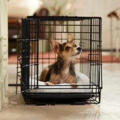 Frisco Adjustable Electrical Dog & Cat Heated Crate Mat With Timer -PetSafe Kong Shop 358546 PT5. AC SS1800 V1662500981