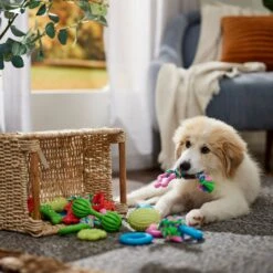 Frisco Small Breed Puppies Rope & TPR Variety Pack Puppy Toy -PetSafe Kong Shop 358552 PT4. AC SS1800 V1669908588