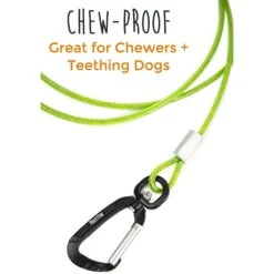 Mighty Paw Stainless Steel Chew Proof Cable Leash -PetSafe Kong Shop 358566 PT2. AC SS1800 V1641340886
