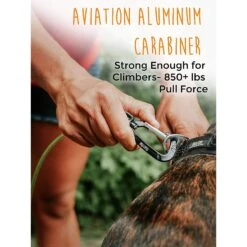 Mighty Paw Stainless Steel Chew Proof Cable Leash -PetSafe Kong Shop 358566 PT3. AC SS1800 V1641335009